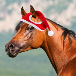 Cappello Natalizio in pile per Cavallo