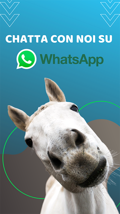 chatta con noi su whatsapp