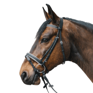 Briglia Inglese Star modello Diamon