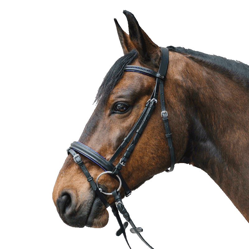 Briglia Inglese Star modello Diamon