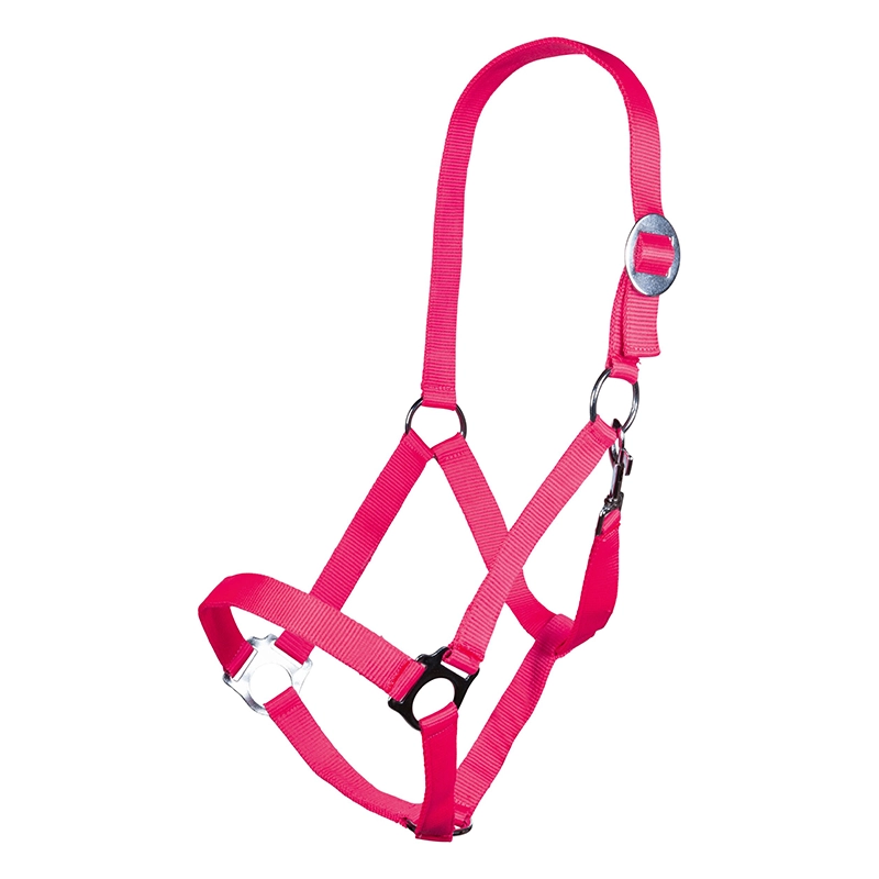 HKM Cavezza per cavallo modello Stars Economy Softice