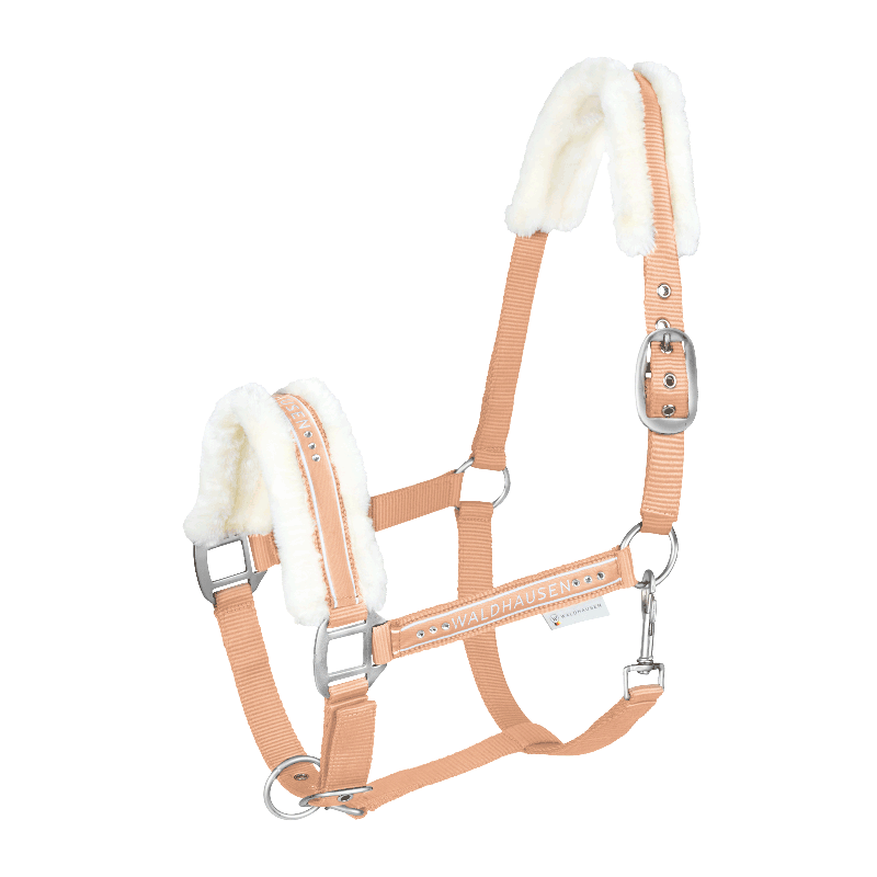 Waldhausen Cavezza Elegant con fibbie satinate