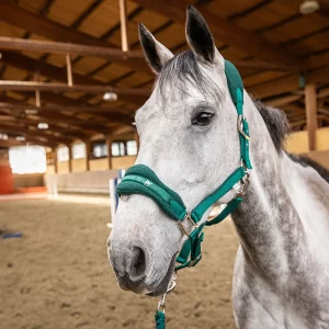 Winner by Sartore Cavezza con Lunghina Lifestyle rivestita in pile
